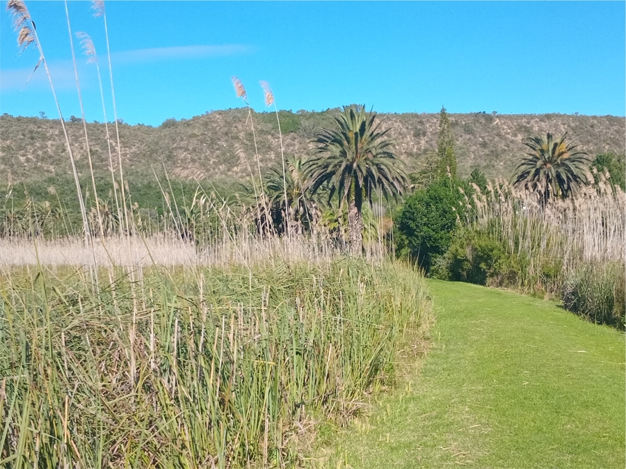 Commercial Property for Sale in Sedgefield Rural Western Cape